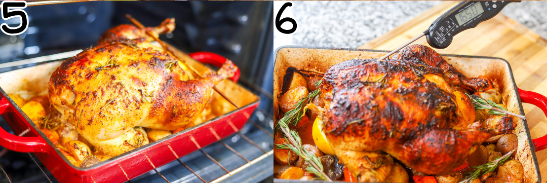 cook chicken